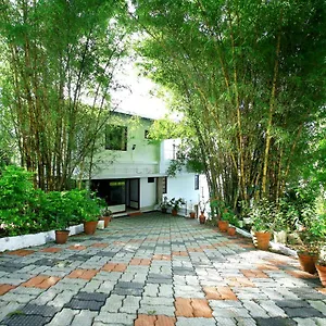 green-magic-home.hotels-munnar.com/